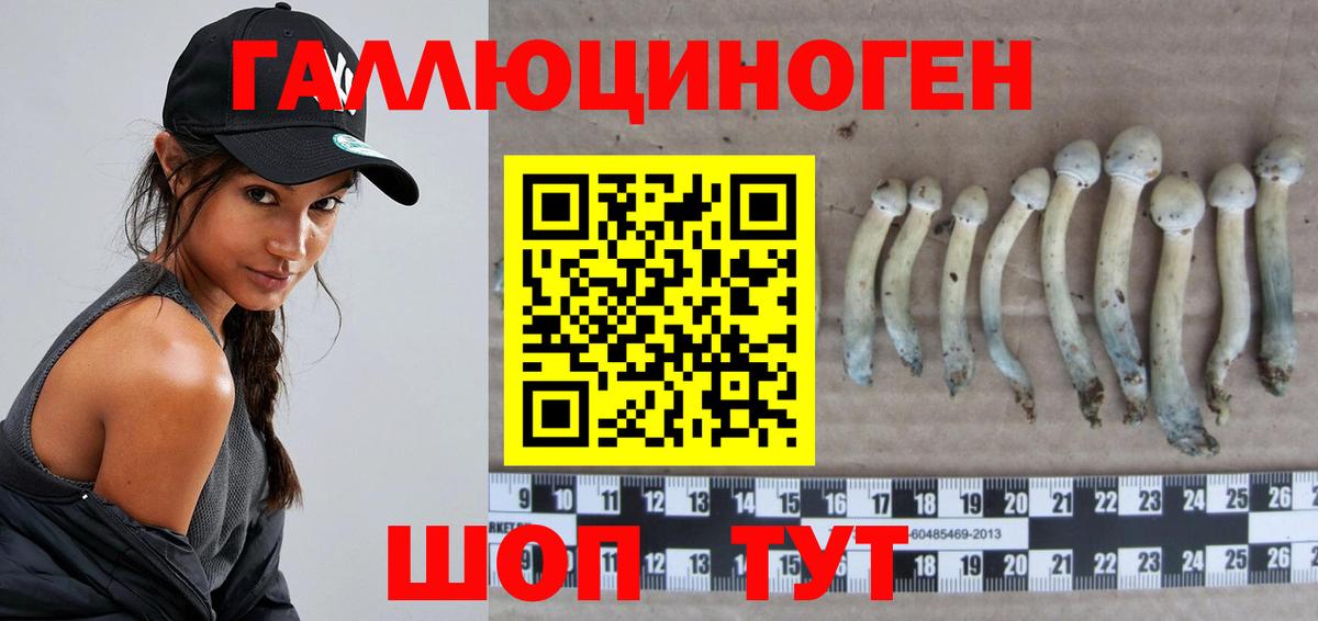 Псилоцибиновые грибы ЛСД Курчатов