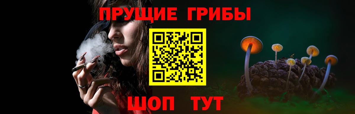 Галлюциногенные грибы Psilocybe  Вход с VPN  Галлюциногенные грибы ЛСД  Курчатов 
